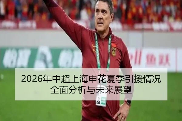 2026年中超上海申花夏季引援情况全面分析与未来展望