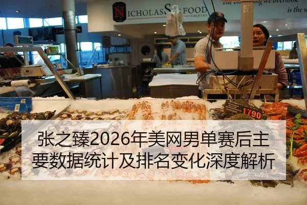 张之臻2026年美网男单赛后主要数据统计及排名变化深度解析